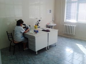 IMG_20160816_100706