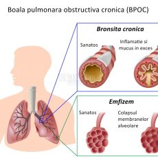 Niciodată prea devreme, niciodată prea târziu
